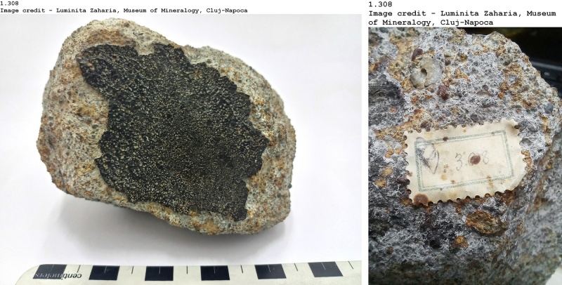 Plik:Bjurböle (ClujM).jpg