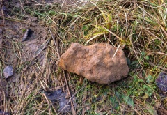 Morasko in situ 2500g (RG)-2.jpg