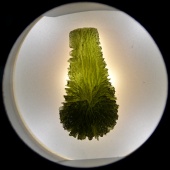 Moldavite (Muzeum Czeski Krumlov) okazy11.jpg