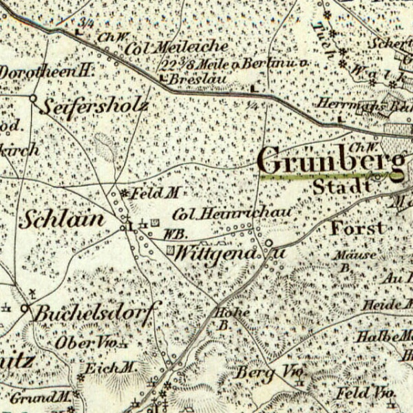 Plik:Gruneberg (Reymanns Special-Karte 112 Gross Glogau) Wittgenau.jpg