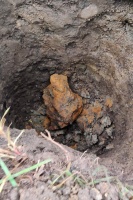 Kaalijarv (2026-main mass)-fb1.jpg