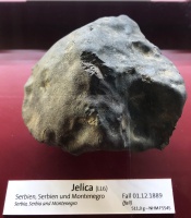 Jelica (NHM Vienna)-TJ21.jpg