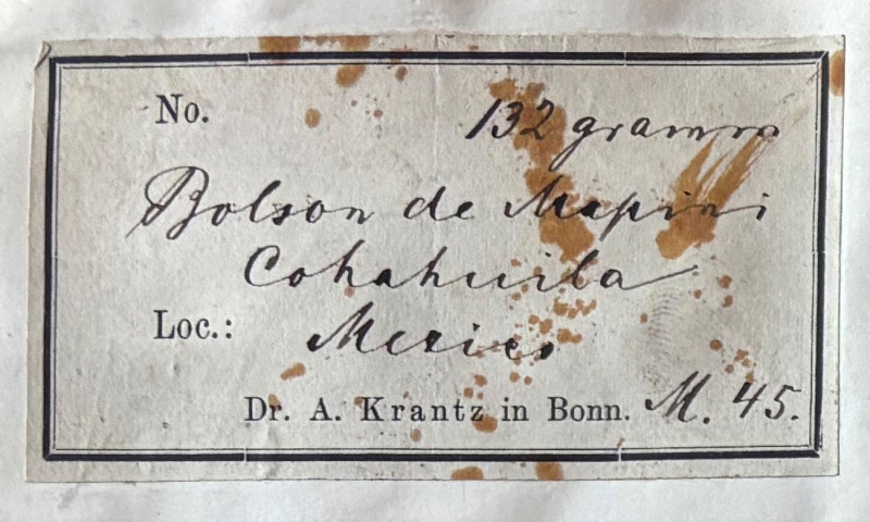 Plik:Krantz (Coahuila) Gregory-116-label1.jpg