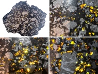 Steinbach (TopMeteorite-for sale).jpg