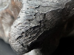 Zadzim (mainmass)-SzKcu 8672.jpg
