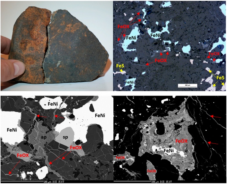 Plik:Pułtusk (L) (Łuszczek 2025).jpg