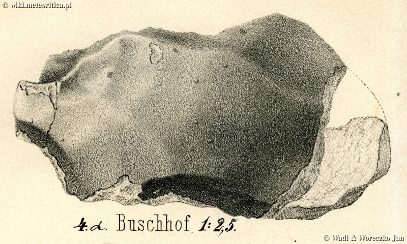 Plik:Buschhof (main mass Grewingk 1864).jpg