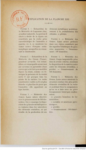 Plik:Luponnas (Meunier 1892-Pl 13t).jpg