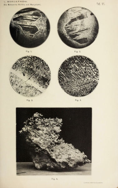 Plik:Marjalachti (Borgström 1903)-taf6.jpg