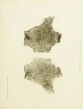 Tschermak 1871 (Ilimaes (iron)-Taf. III).jpg