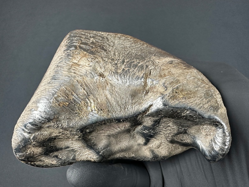 Plik:SN20260417 (mainmass)-SzK 7444.jpg