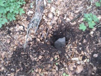 Uhrovec (Milan Gargulák)-MBD.jpg