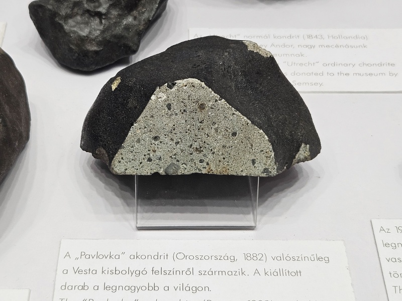 Plik:Pavlovka (NHM Budapest)-2024.jpg