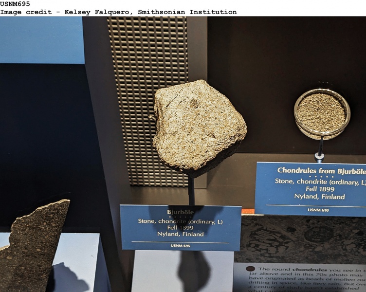 Plik:Bjurböle (WashingtonNMNH-SI).jpg