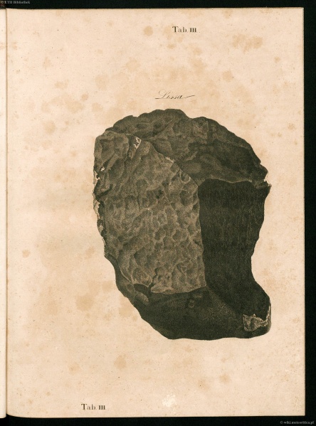 Plik:Schreibers 1820 (Tab-iii).jpg
