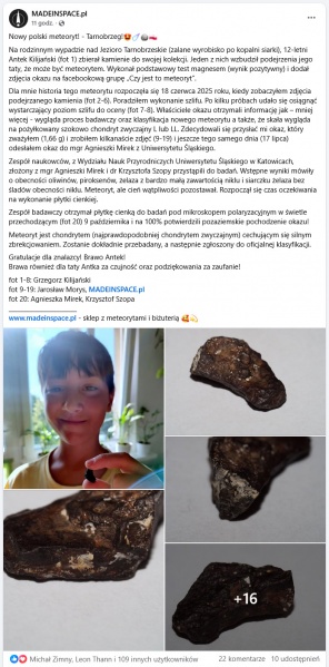 Plik:Tarnobrzeg desert (MADEINSPACE pl)-fb1.jpg