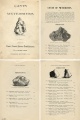 Ward (Casts of Meteorites)-1.jpg