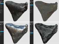 Zadzim 3D model (sketchfab)-geometry1.jpg
