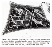 Seeläsgen (Buchwald 1975)-USNM-1.jpg