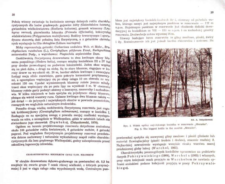 Plik:Morasko (Dzięczkowski 1971-PPZ).djvu