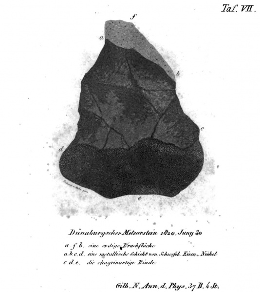 Plik:Lixna (Grotthuss 1821 Taf VII).jpg