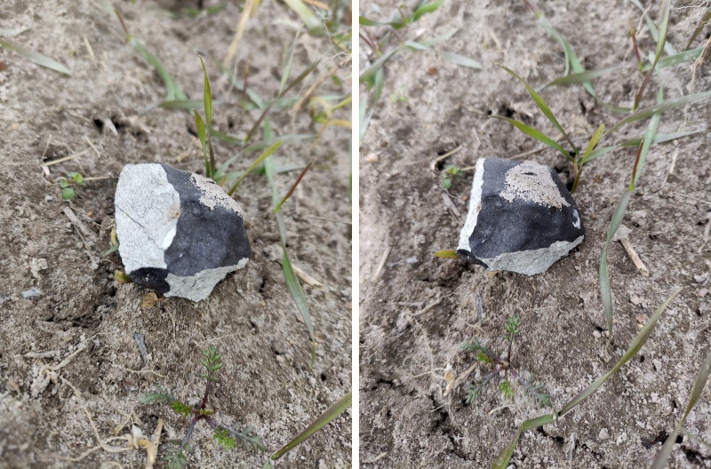 Plik:SN20250218 (105g Marcin Pietryszyk)-fb1.jpg