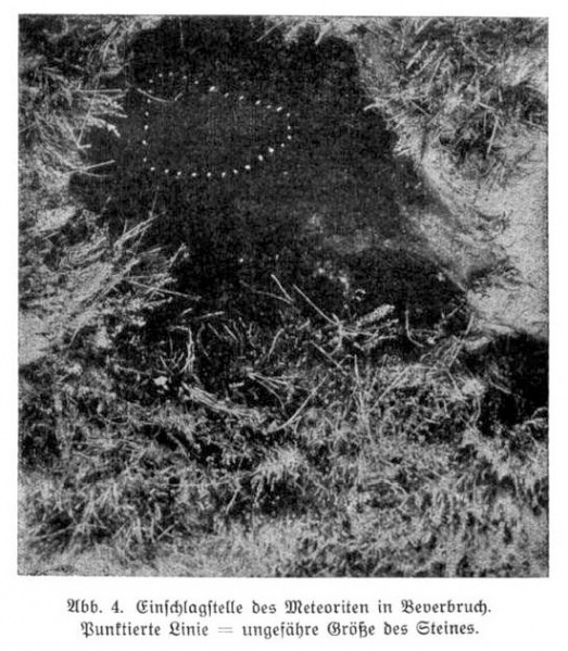 Plik:Oldenburg (1930) (Buttel-Reepen 1930)-fig4.jpg