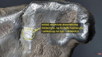 Zadzim (octahedrite)-YT1.jpg