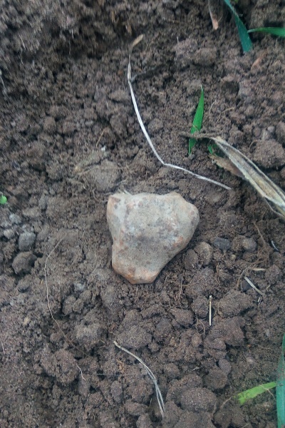 Plik:Pułtusk (140g Marcin Kętla-2025).jpg