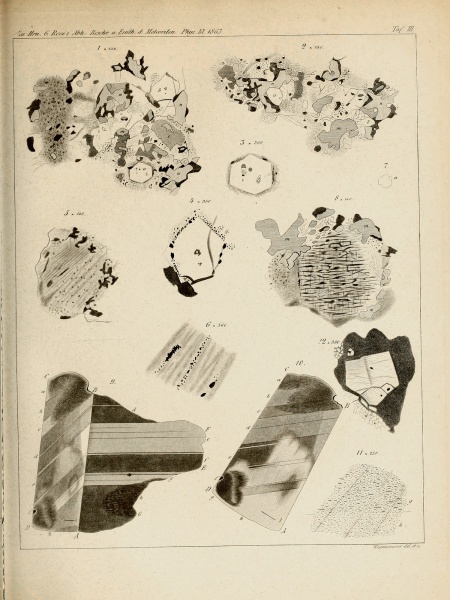 Plik:Rose 1864 (Tafl 3).jpg