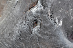 Zadzim (mainmass)-JWcu-6898.jpg