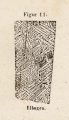 Elbogen (Haidinger 1855).jpg