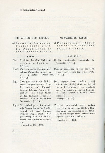 Plik:Lowicz (ArchMineralogiczne tablica-I-opis).jpg