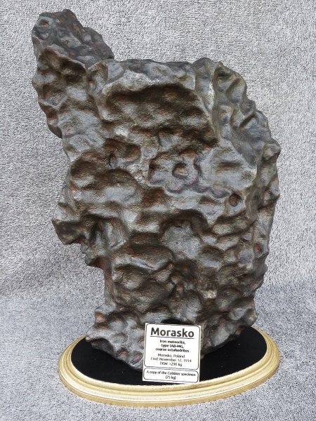 Plik:Morasko cast (Cobliner specimen) (Woreczko Collection)-2.jpg