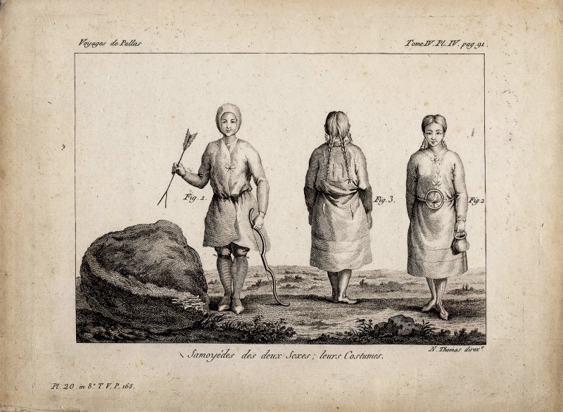 Plik:Pallas (1788-1793 Voyages de Pallas).jpg