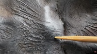 Zadzim (survey lamellae)-1.jpg