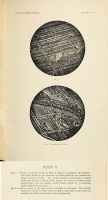 Farrington 1895 (plate2).jpg