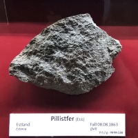 Pillistfer (NHM Vienna)-TJ21-1.jpg
