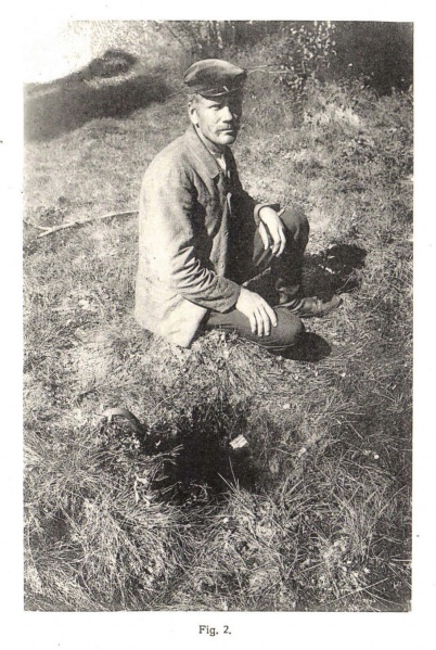 Plik:St.Michel (Borgström 1912)-fig2.jpg