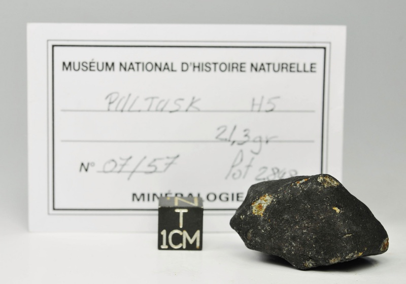 Plik:Pultusk (21g, Tomasz Jakubowski Meteorites Collection).jpg