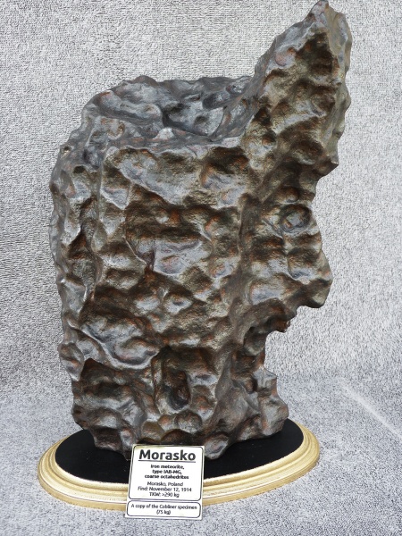 Plik:Morasko cast (Cobliner specimen) (Woreczko Collection)-1.jpg
