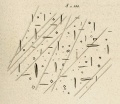 Seeläsgen (Rose 1864 Tafl1 Fig8).jpg