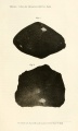 Kaba (Hornes 1858).jpg