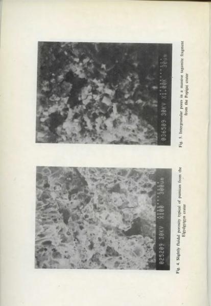 Plik:Żbik (BPAS 1986).djvu