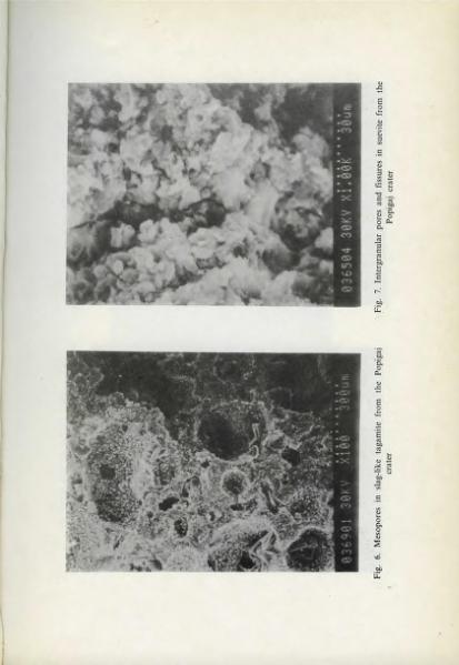 Plik:Żbik (BPAS 1986).djvu