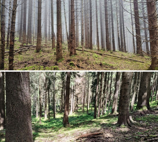 Plik:Steinbach (site-1)-AO.jpg