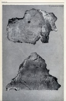 Teplá (catalog plate XII Tucek 1968).jpg