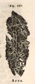 Magura (Haidinger 1845).jpg