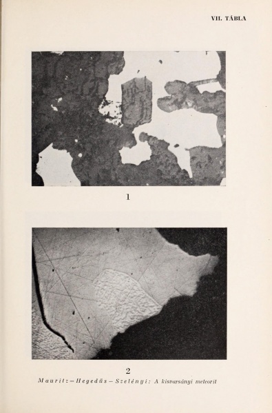 Plik:Mauritz 1953 (tafel VII).jpg