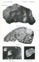 Lowicz (ArchMineralogiczne tablice).djvu